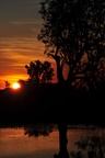 nt1_5721__743_.jpg