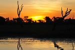nt1_5721__770_.jpg