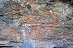 nt1_5721__796_.jpg