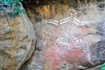nt1_5721__797_.jpg