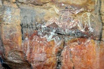 nt1_5721__799_.jpg