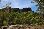 nt1_5721__800_.jpg