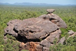 nt1_5721__801_.jpg