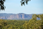 nt1_5721__802_.jpg