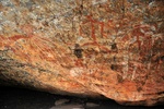 nt1_5721__811_.jpg
