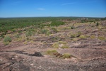 nt1_5721__813_.jpg