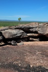 nt1_5721__815_.jpg