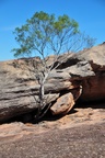 nt1_5721__816_.jpg
