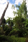 nt1_5721__818_.jpg