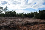 nt1_5721__819_.jpg