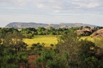 nt1_5721__831_.jpg