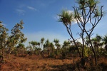 nt1_5721__858_.jpg