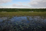 nt1_5721__868_.jpg