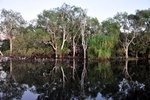 nt1_5721__86_.jpg