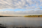 nt1_5721__878_.jpg