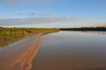 nt1_5721__880_.jpg