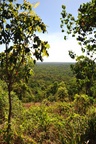 nt1_5721__890_.jpg