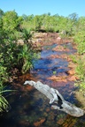nt1_5721__891_.jpg