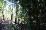 nt1_5721__894_.jpg