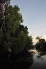 nt1_5721__89_.jpg