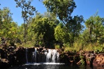 nt1_5721__902_.jpg