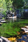 nt1_5721__906_.jpg