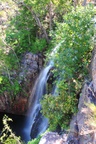 nt1_5721__909_.jpg