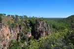 nt1_5721__919_.jpg
