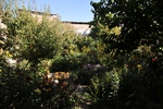 Our B&B's garden