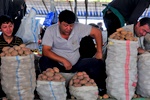 uzb_9773.jpg