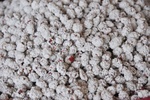 Sugar coated peanuts