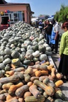 uzb_9817.jpg