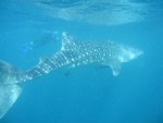img_3429.jpg