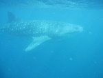img_3459.jpg