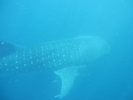img_3466.jpg