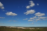 nz0_3772.jpg