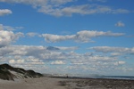 nz0_3775.jpg