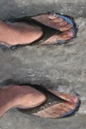 nz0_3778.jpg
