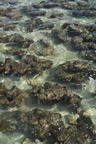 nz0_3792.jpg