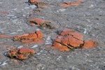 nz0_3802.jpg