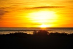 nz0_3829.jpg