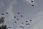 nz0_3893.jpg