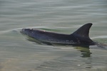nz0_3941.jpg