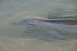 nz0_3944.jpg
