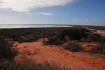 nz0_3948.jpg