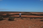 nz0_3952.jpg
