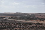 There's a road runner out there I'm sure