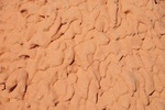 nz0_3966.jpg