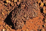 nz0_4049.jpg