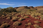 nz0_4073.jpg